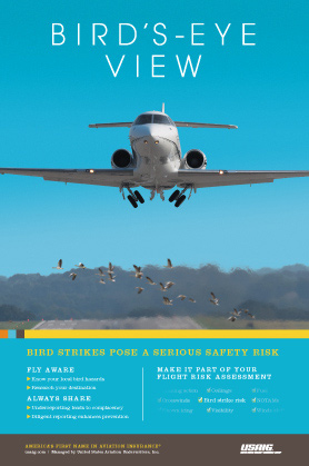 USAIG Safety Poster USAIG Safety Poster